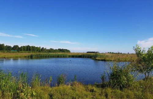 Ash Cottage - Foto 12