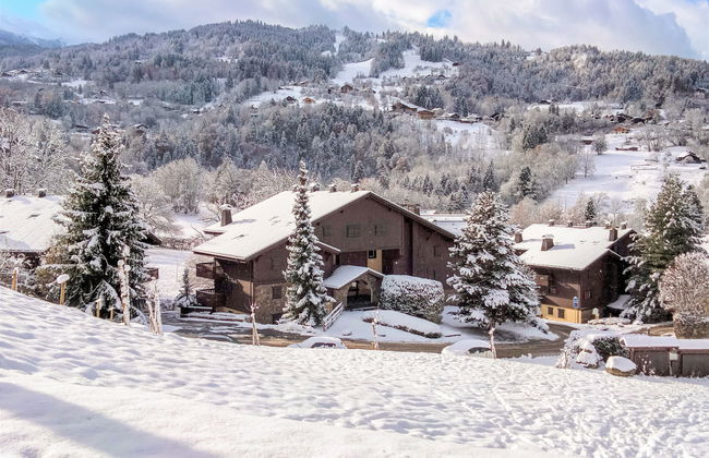 les Huskies - Foto 1