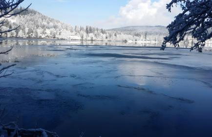 Ferienhaus Am Rösslewald - Photo 33