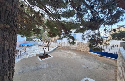 Zoes House - Foto 23