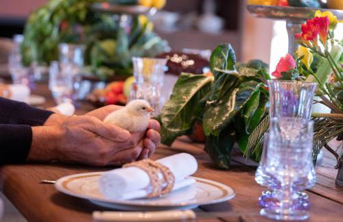 Paradis Agricole - Foto 35