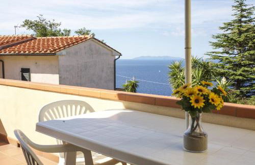 Bougainvillea Primo Piano - Goelba - Foto 1