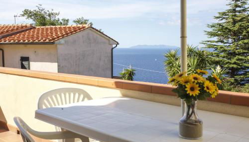 Bougainvillea Primo Piano - Goelba - Foto 1