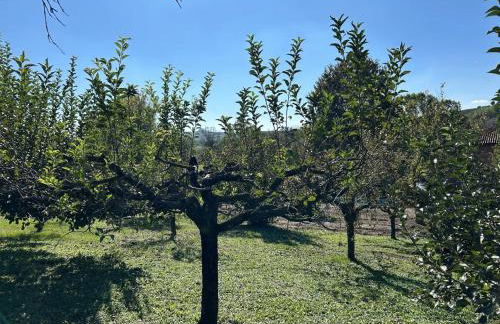 Casa Ambrogina - Foto 39