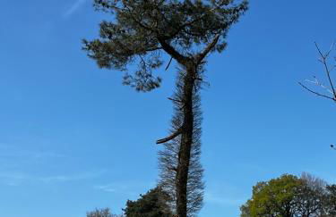 Gîtes du Gohic - Le Cidre - Foto 41