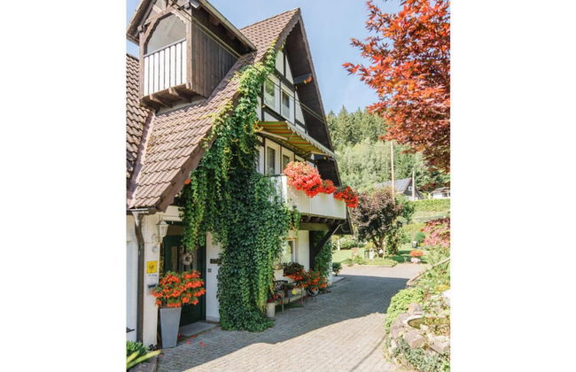 on the Sunny Slope Modern Retreat - Foto 1