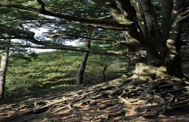 Spacious Holiday Home in Voorhuizen With Terrace - Photo 37