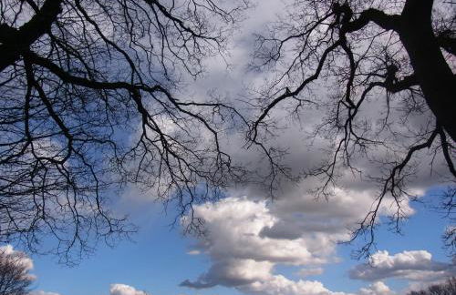 Blockhütte 35 km nördlich von Hamburg - Foto 31