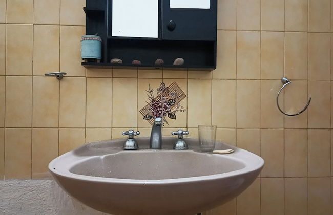 Entre Mangos y Tucanes - Foto 12