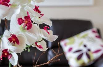 An Teach Glas - Foto 11