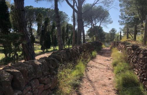 Canet de Berenguer playa, cerca de Valencia , WIFI, SmartTV 40" - Photo 74