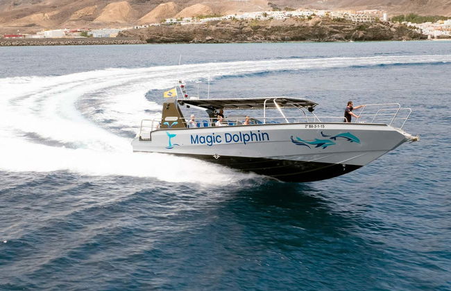 Morro Jable Dolphin & Whale Watching Trip - Foto 10