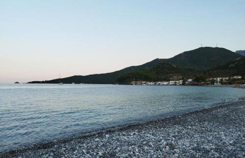 Mary's house - Photo 51