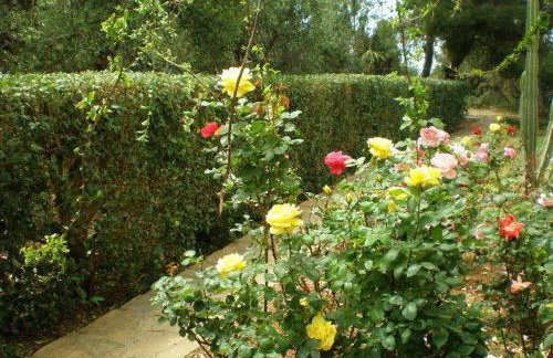 Sani Kasimis - Foto 19