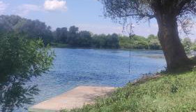 Queen bee's nest - Foto 5