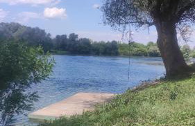 Queen bee's nest - Foto 5