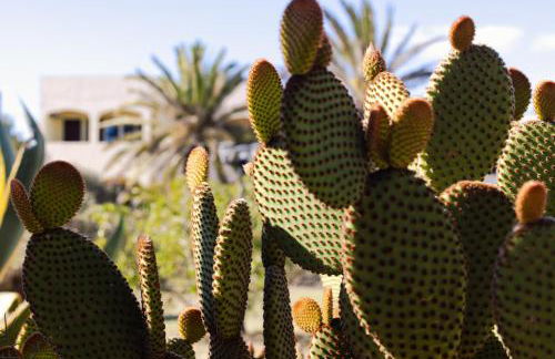 Apartamentos Verde Mar - Foto 13