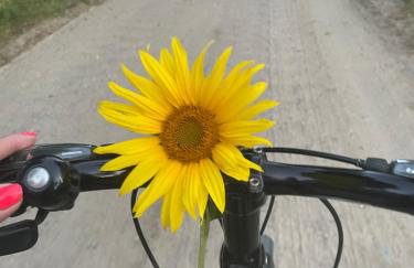 Pogodna Zagroda-Dom na Kaszubach & Strefa Spa - Foto 70