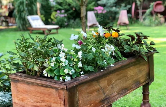 Cottage in Dlugosiodlo Near Forest Edge - Photo 52