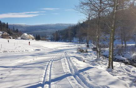 Haus Wiesengrund - Photo 15