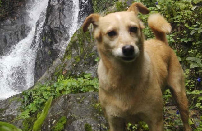 Hiking to Secret Waterfall - Photo 5