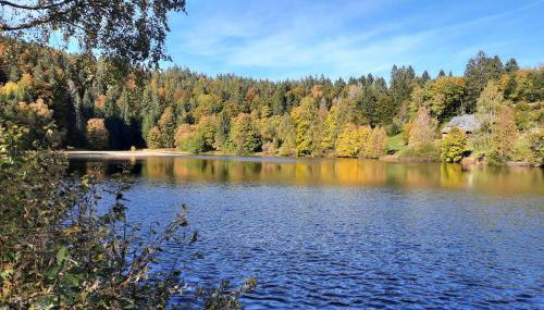Landhaus Am Schmiedebach - Foto 3