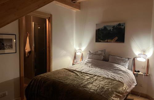 Chalet Le Yéti de Villard 14 Prs - Domaine Alpe d'Huez - Bain nordique - Foto 15