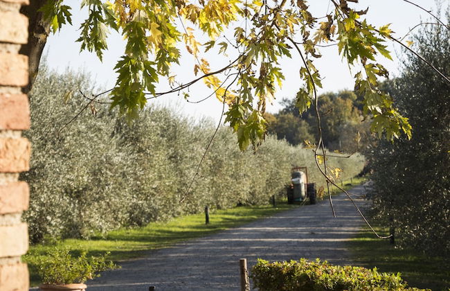 Agriturismo Il Selvino - Photo 34