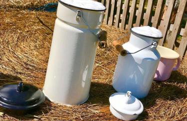 Kozy i Róże - Foto 66