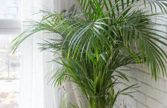 Le Duplex des Docks by So Homy - 2 Bed Room - 4 PAX - Foto 13