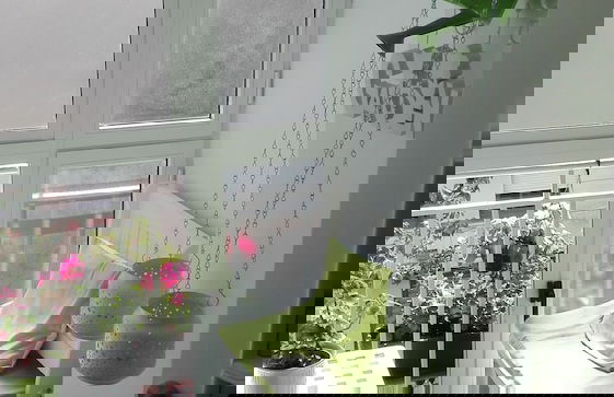 Apartamento E&R Málaga Centro - Foto 11