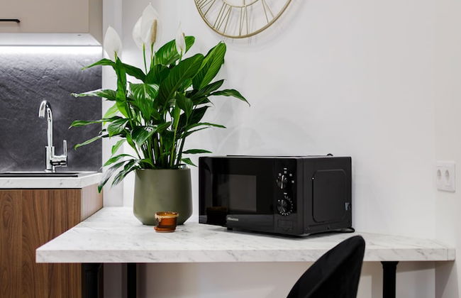 RIGAAPARTMENT ELIZABETES 22 Aparthotel - Photo 41