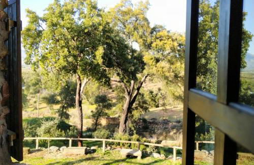 La Simona Casa Rural - Foto 28