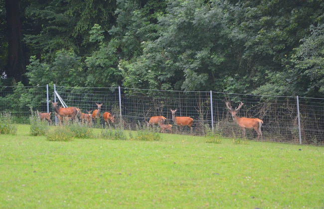 Gesves Castle Grounds Retreat - Foto 40