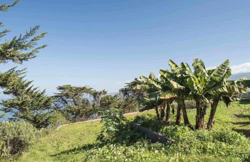 CASAS EN FINCA ECOLÓGICA LA ESPIRAL, NATURALEZA, CALMA Y VISTAS al MAR, - Foto 62