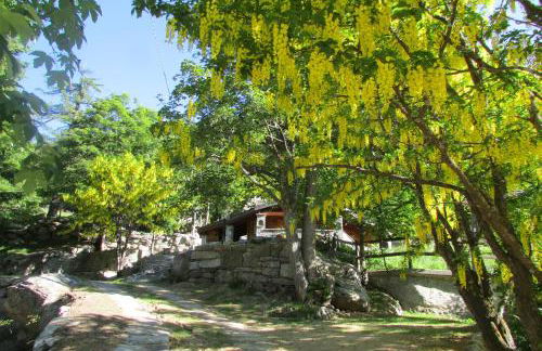 CHALET A CERESOLE REALE nel Parco Gran Paradiso - Foto 38