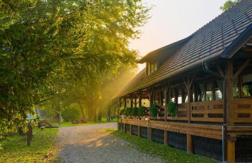 Apartment Sandra Toplice Sveti Martin - Foto 57