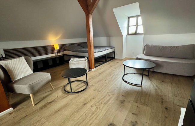 Family Apartments Černice - Foto 36