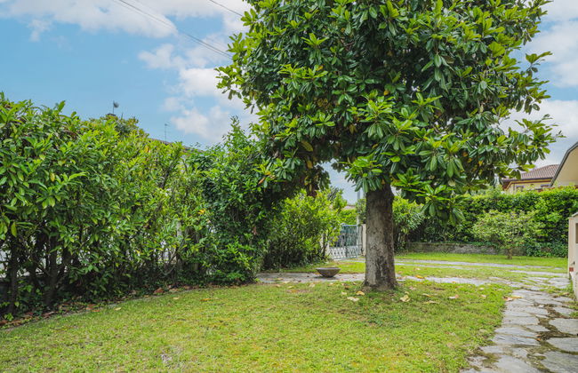 Maria Luisa - Foto 9