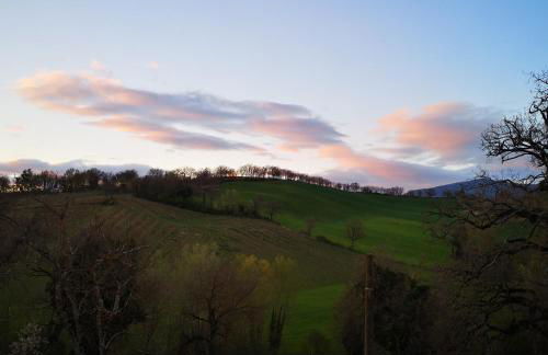 Da Foschetta - Foto 14