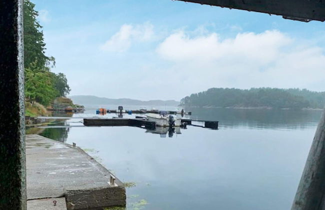 6 Person Holiday Home in Lindas - Foto 35