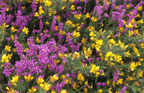 9 Malthouse Court - Foto 30