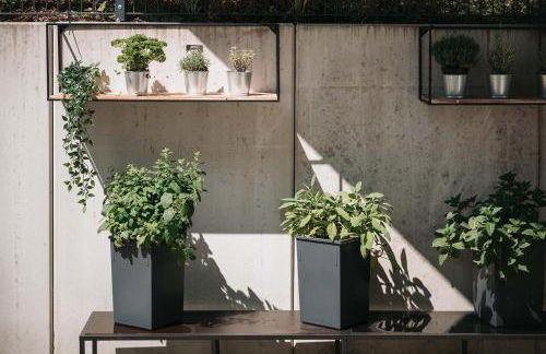 Coffee Fellows Hotel & Longstay - Foto 24