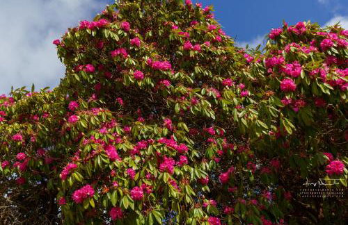 Azenha da Lavoura em Barrega - Foto 55