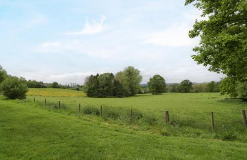 Woodlands Cottage - Photo 30