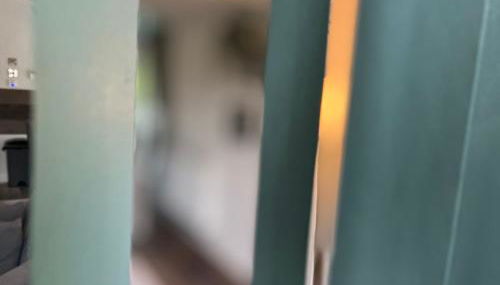 Jungle lodge - Photo 3