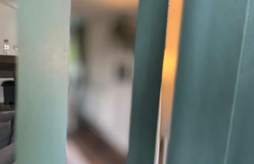 Jungle lodge - Photo 3