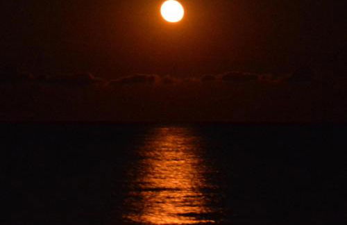 Agriturismo Torre Del Golfo - Foto 7