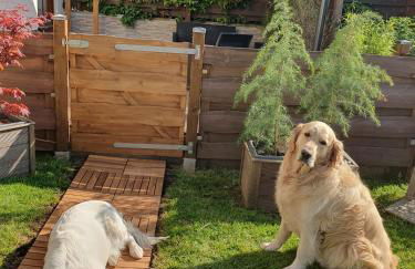 FeWo Weismark - Foto 6