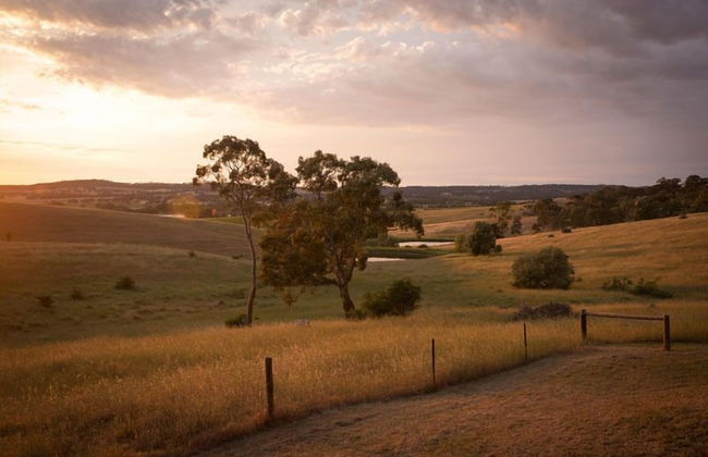 Riesling Country Cottages - Foto 23